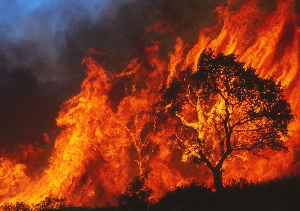 Neuquén, Río Negro y Chubut consolidan políticas regionales frente a incendios forestales.