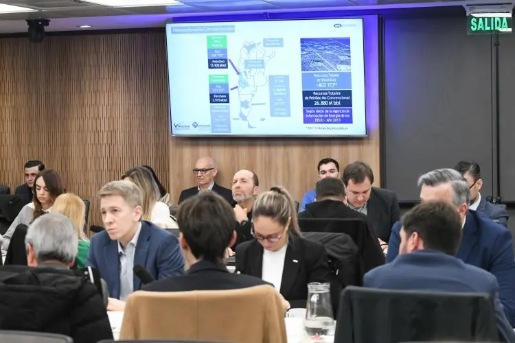 Exposición en Diputados sobre el potencial de Vaca Muerta para transformar la matriz energética y las exportaciones