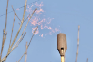 VALLE CHAPELCO: finalizó la anhelada obra de gas.