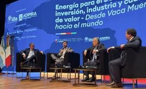 Figueroa: “Vaca Muerta requiere mucha sinergia”.