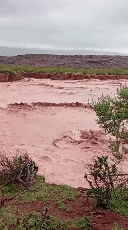 Decretarán emergencia meteorológica por 6 meses.